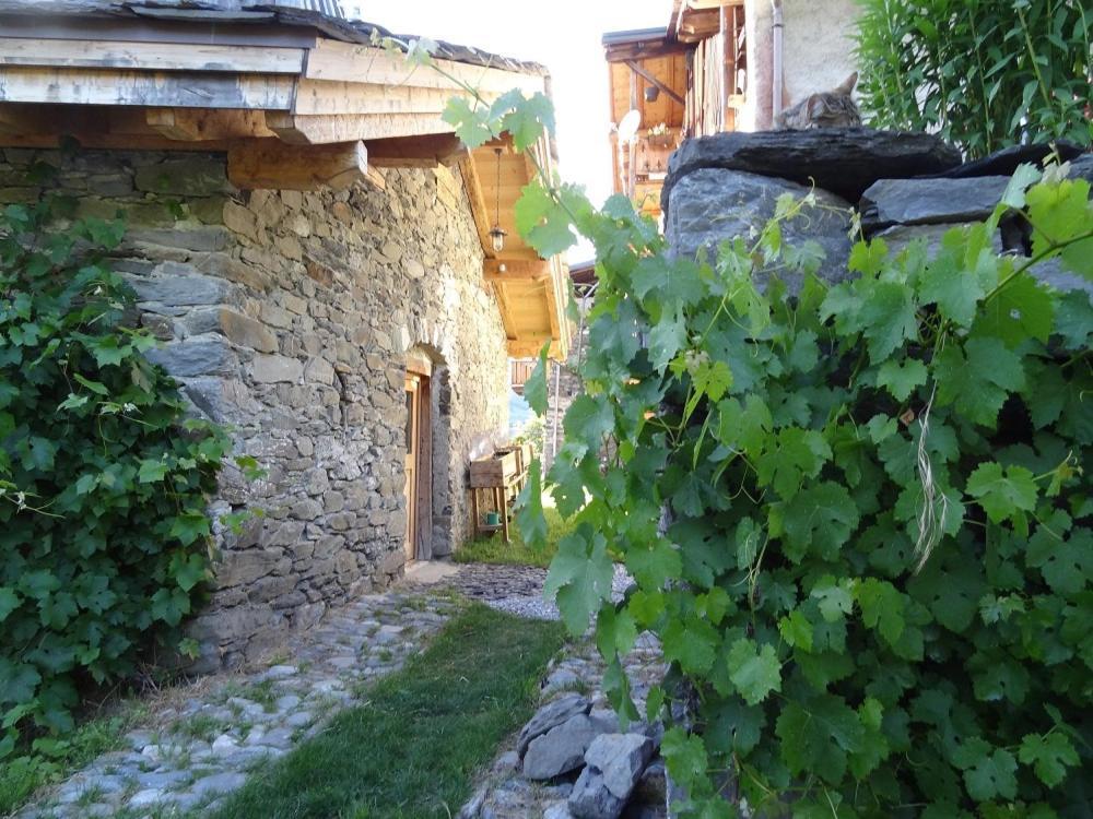 Saint Maurice Les Arcs - Maisonnette Grand Confort Dans Village De Montagne ! Chalet *