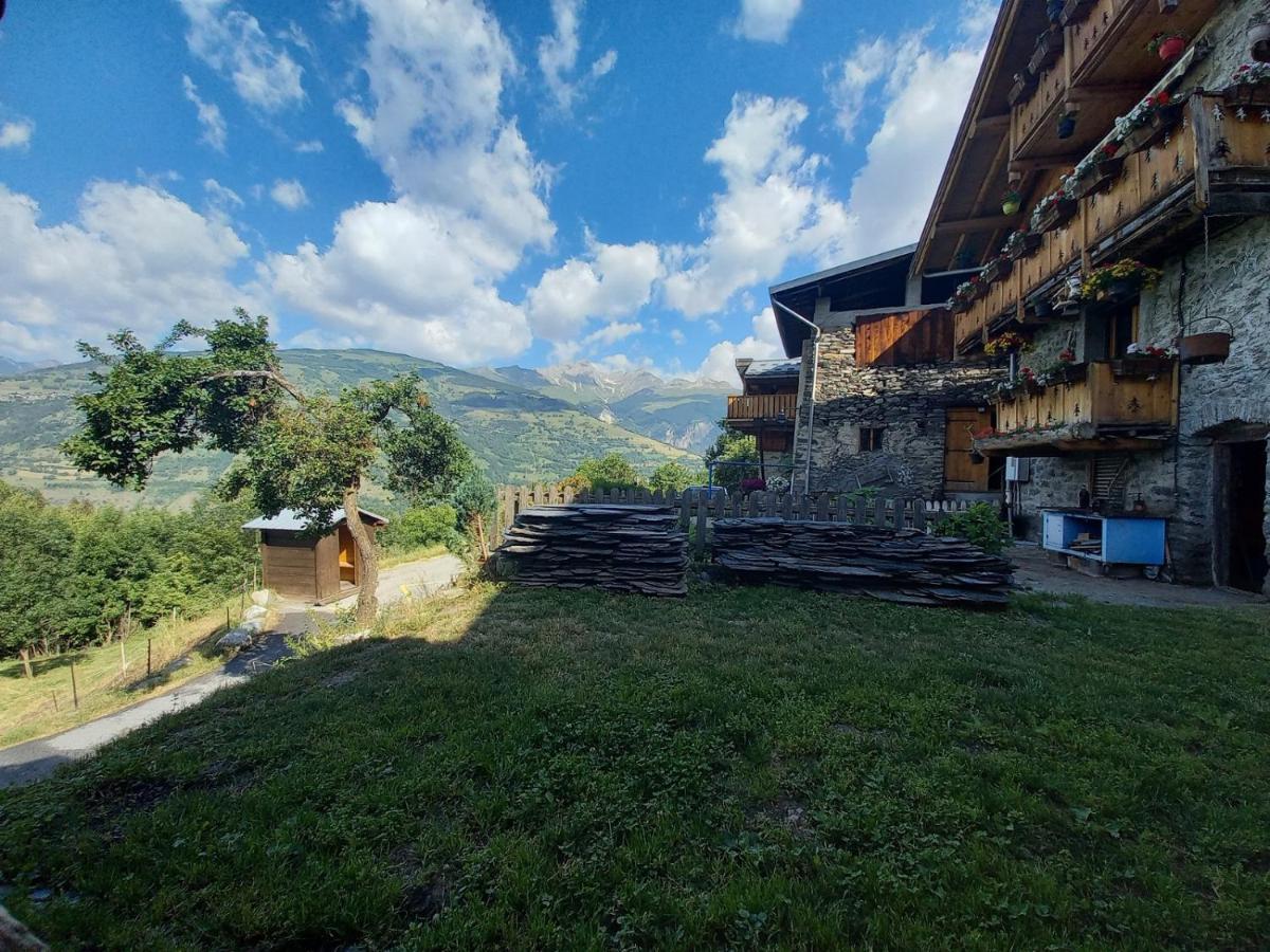 Maisonnette Grand Confort Dans Village De Montagne ! *